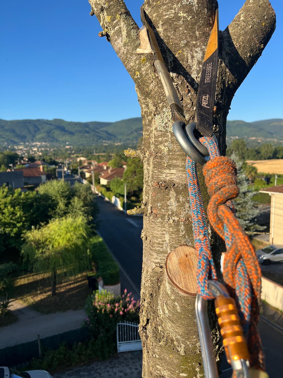 Ancrage et cordage en hauteur